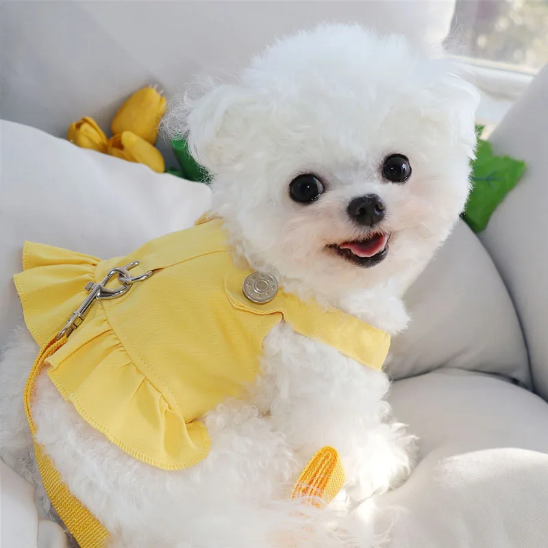 

Autumn Teddy Dress Pet Leash Out Divine Dog Walking Leash Prevent Breakaway Bichon Solid Pullover Soft Princess Skirt