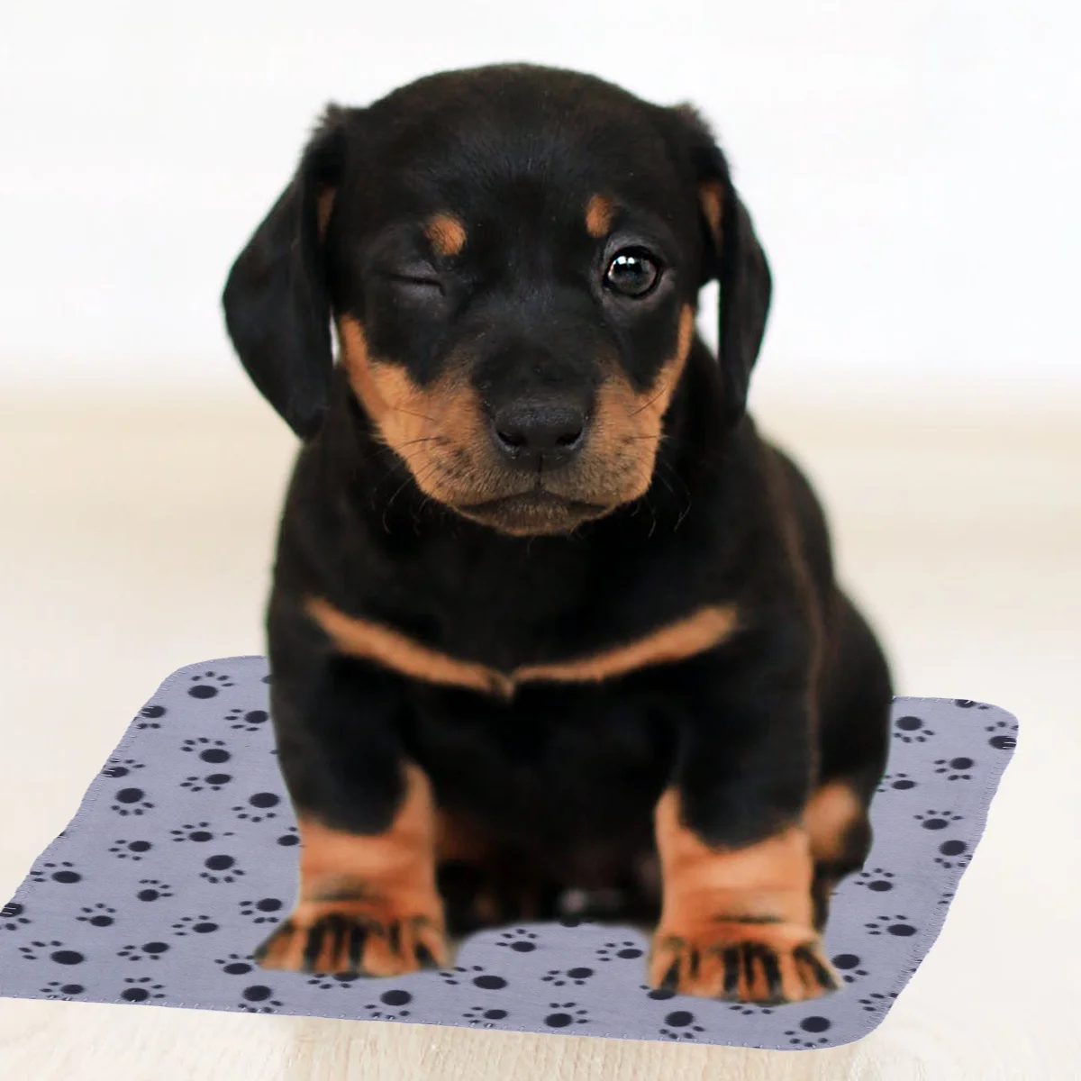 

Dog Claw Print Pet Blanket 70x60cm Grey Black Ultra Soft Warm for Cats Dogs Double Sided Winter Autumn Use Pets Warm Blanket