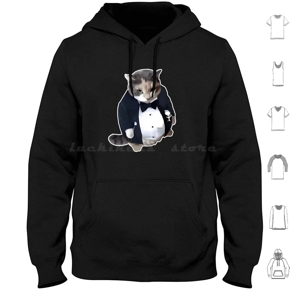 Hq Fat Ass Cat In T… - image