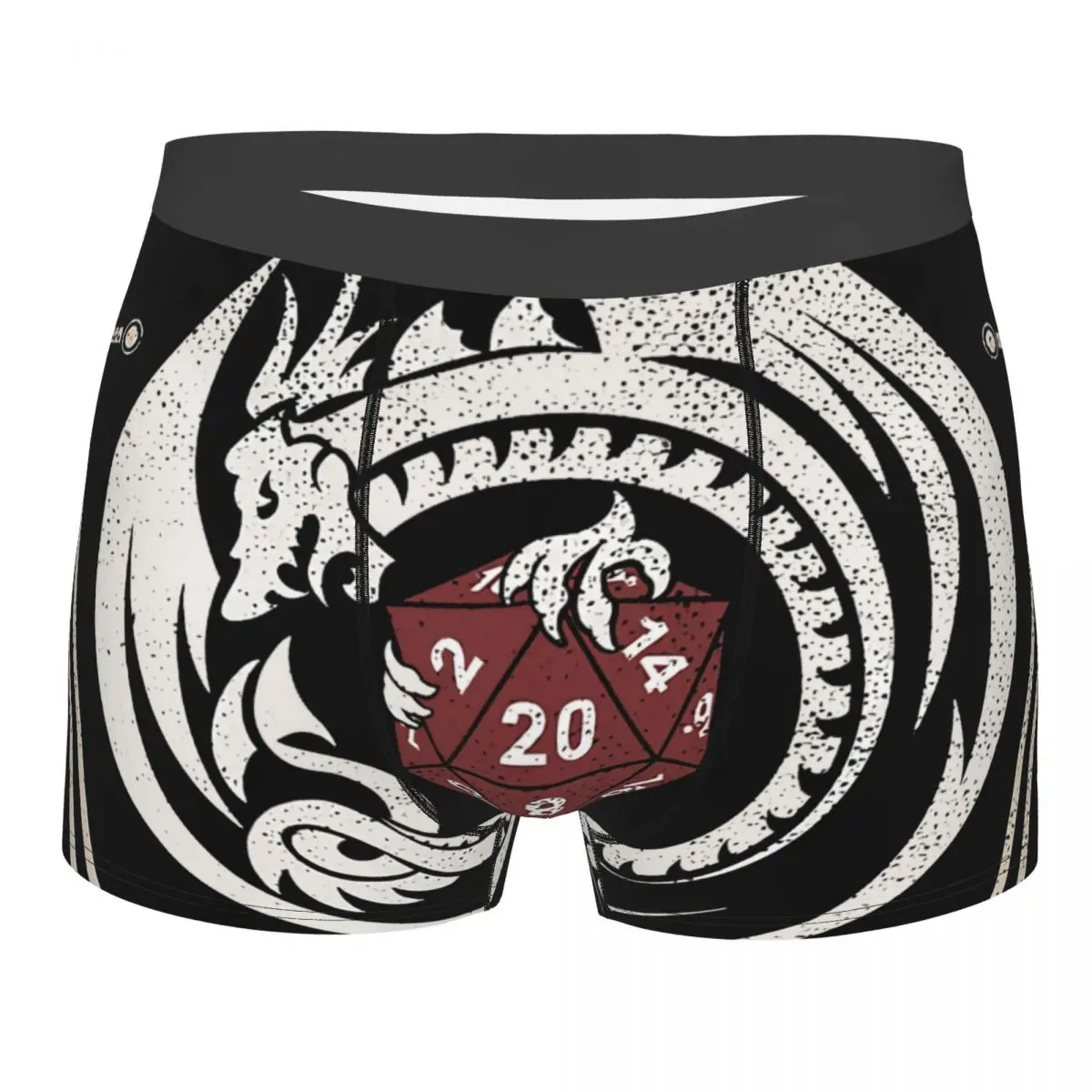 Dragon Slayers Guild D20 Men Boxer Briefs DnD Game Highly Breathable Underwear High Quality Print Shorts Birthday Gifts