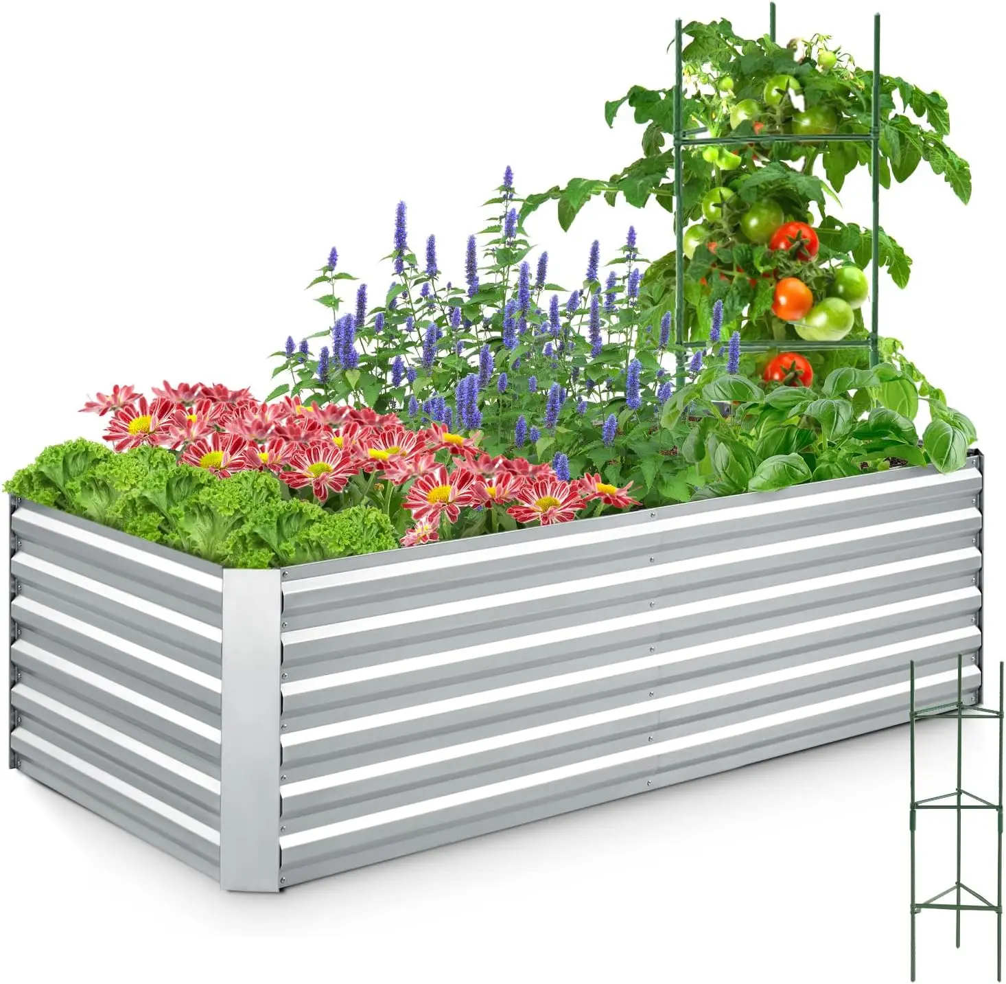 

Galvanized Raised Garden Bed 6x3x2 Ft Metal Planter Box Bottomless for Backyard, Include 1 pc Tomato Cage, Silver
