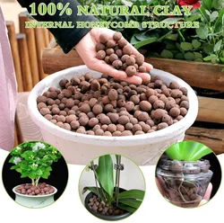 1L Natural Expanded Clay Pebbles for Plants Hydro Balls for Aquarium Indoor Potted Plants Hydroponic Growing Clay Balls