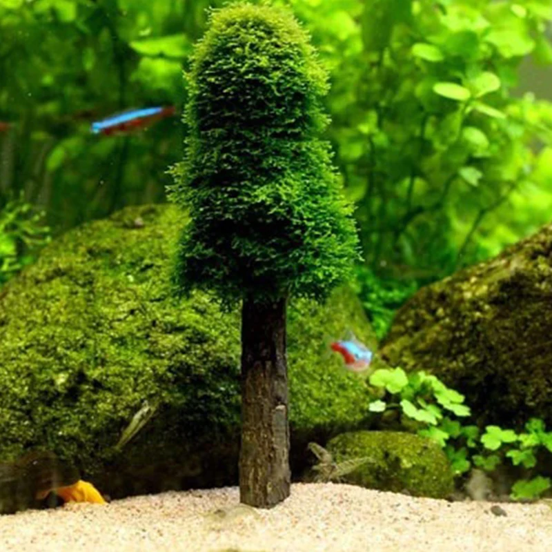 

Aquarium Decoration Simulation Xmas Moss Christmas Tree Plant Grow Aquarium Tank Landscape Decor Fish Tank Aquarium Landscaping