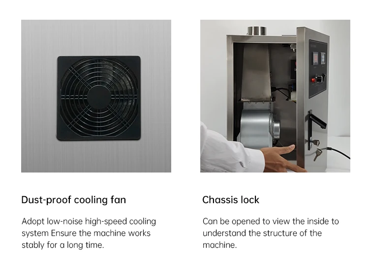 Generatore di ozono per la pulizia della polvere del ristorante Sterilizzatore per ozonoRimozione degli odori della cucina industriale o