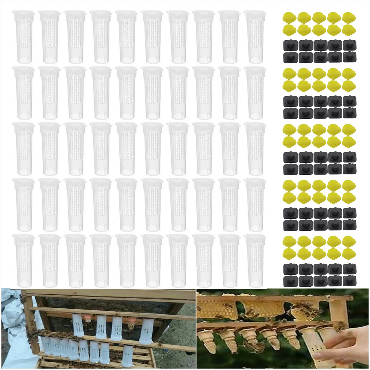 

Nocit Queen Rearing Plastic Cell Holder And Fixture Protection Cover For Sealed Cell Hair Roller Cage Anti Bite For Brood Queen