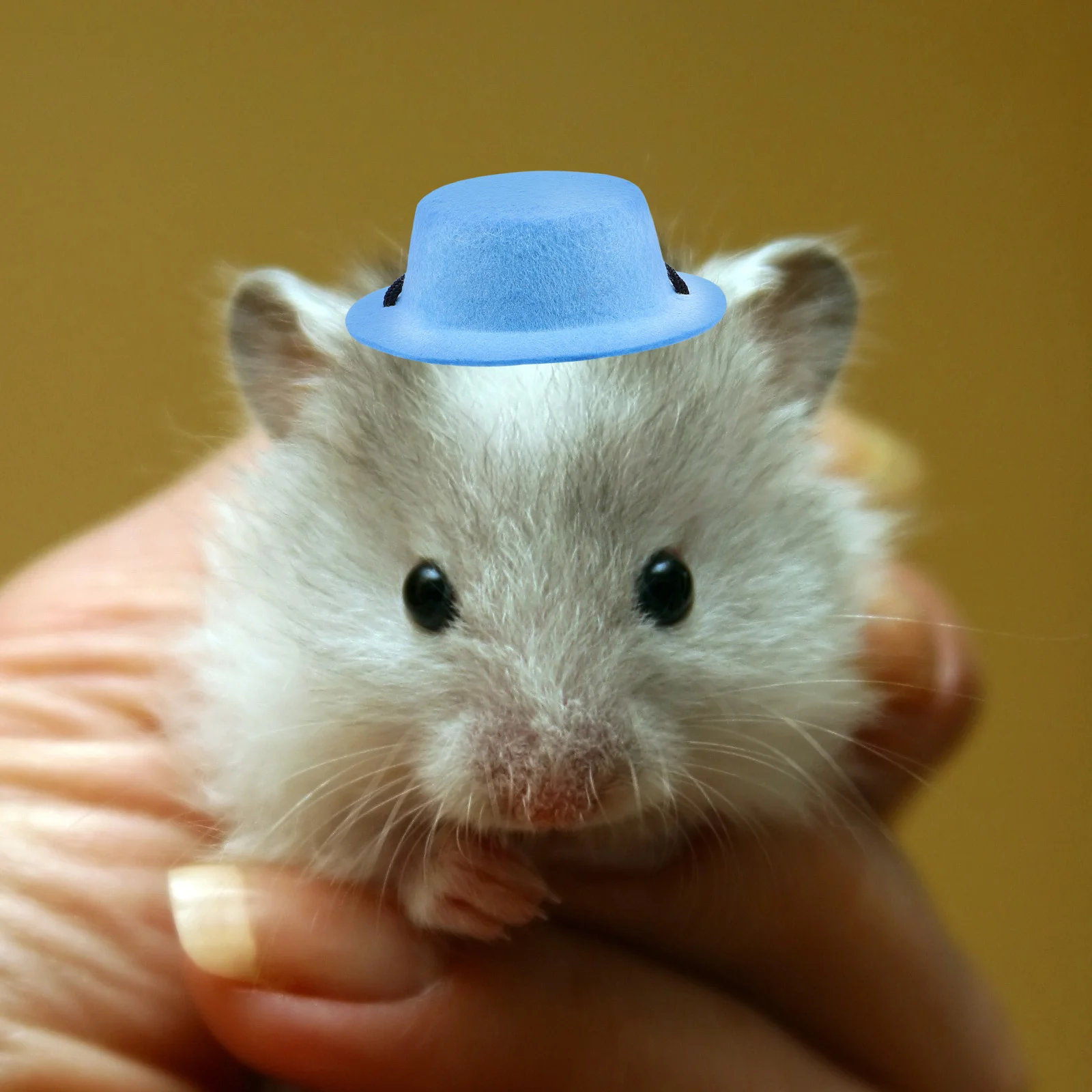 

1Set Small Animal Hat Bowtie Costume Kit Pet Accessories for Hamster Rabbit Chinchilla Guinea Pig Hedgehog Photography