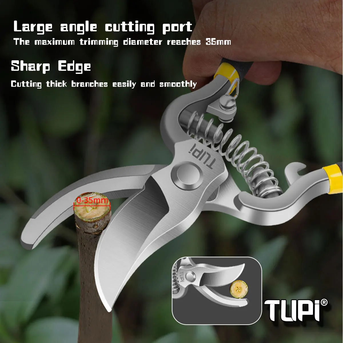

TUPI 8 Inch Garden Pruner Shears SK5 Blade Pruning Scissors for Bonsai Fruit Trees Flowers Branches Garden Pruners