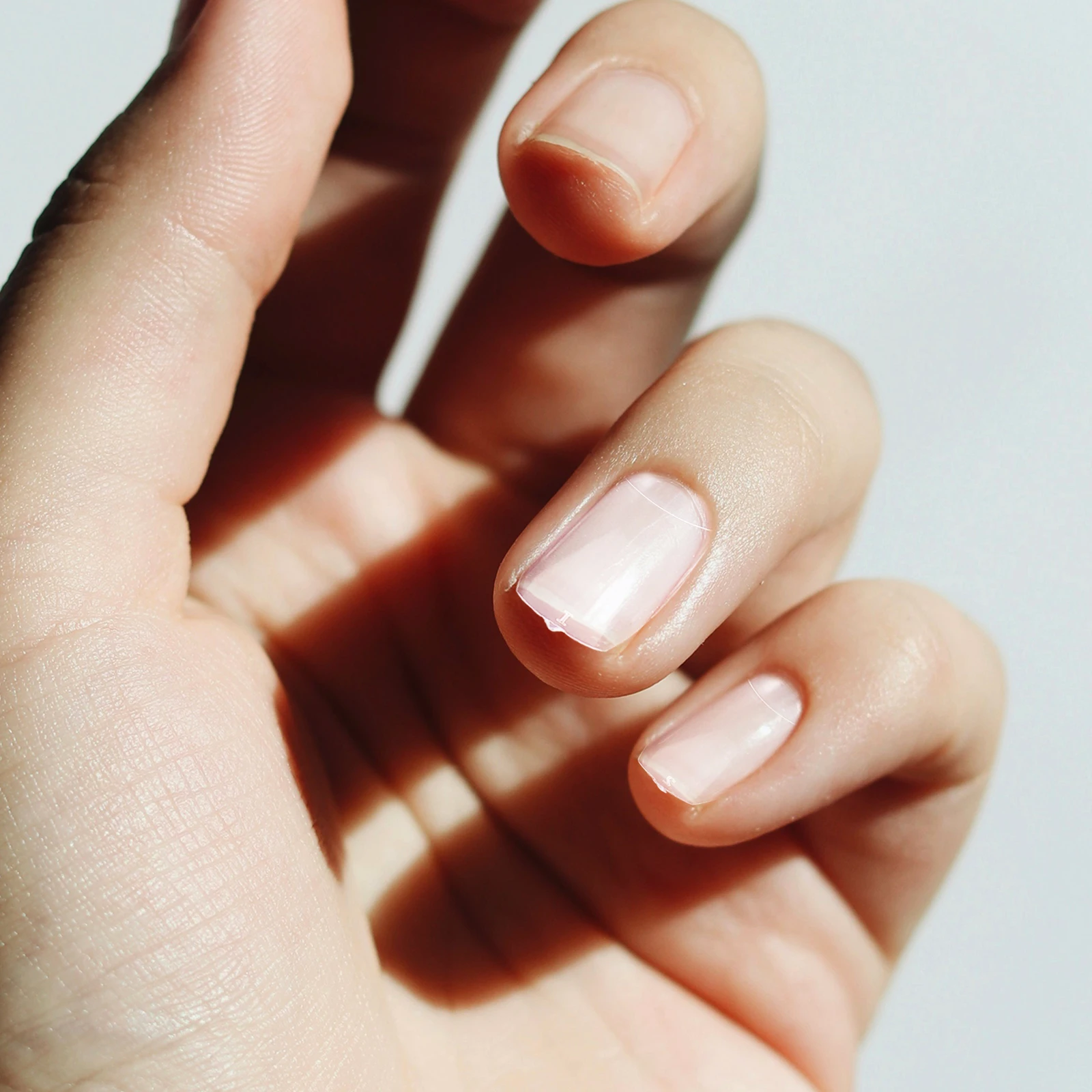 

500Pcs French Clear Artificial Nails Natural Color Full Cover Tips Durable Pc Material Easy to Shape for Salon Home Use