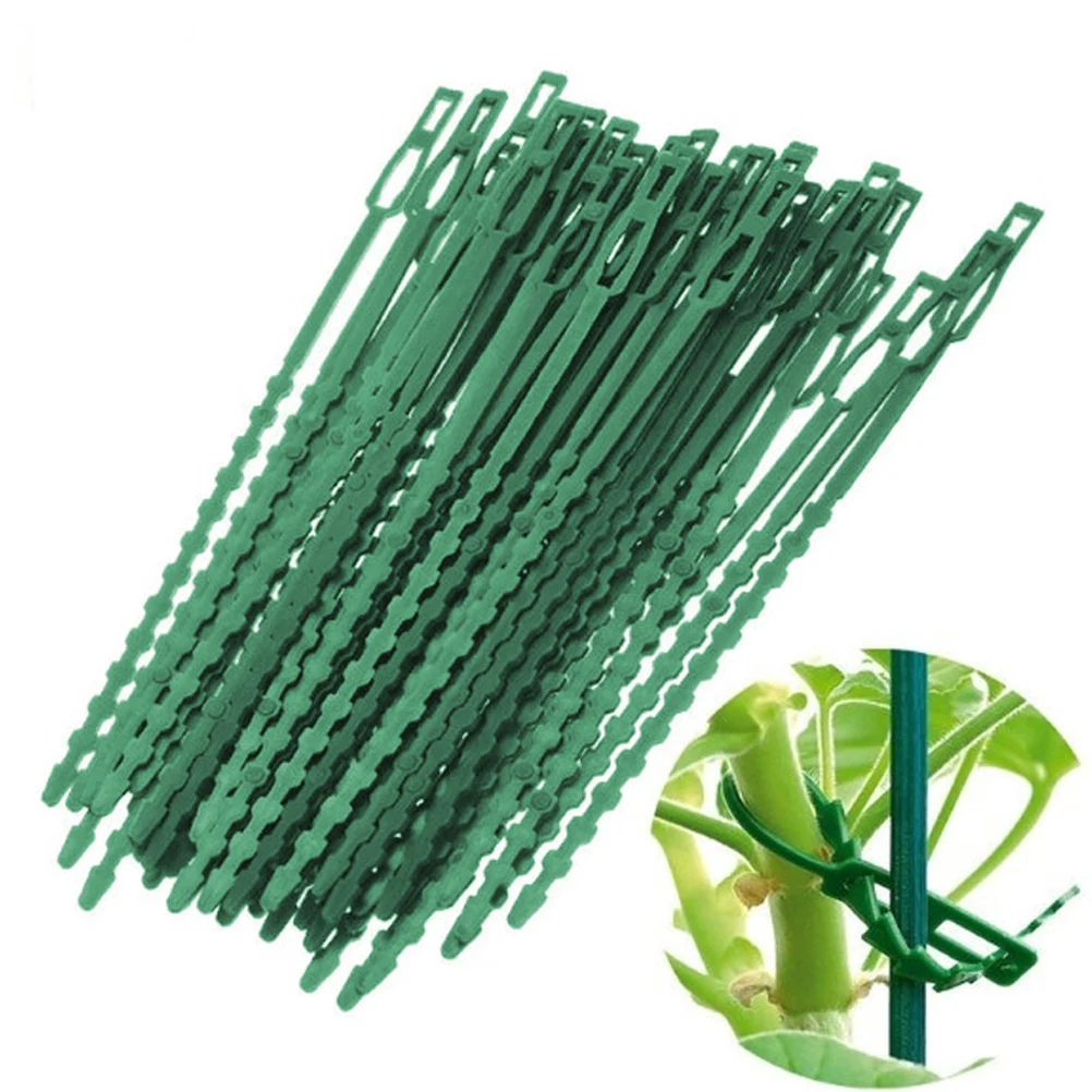 

100pcs Reusable Cable Ties Gardening Vine Climbing Fixing Buckle Plant Plastic Straps Adjustable Easy Multipurpose Home Office