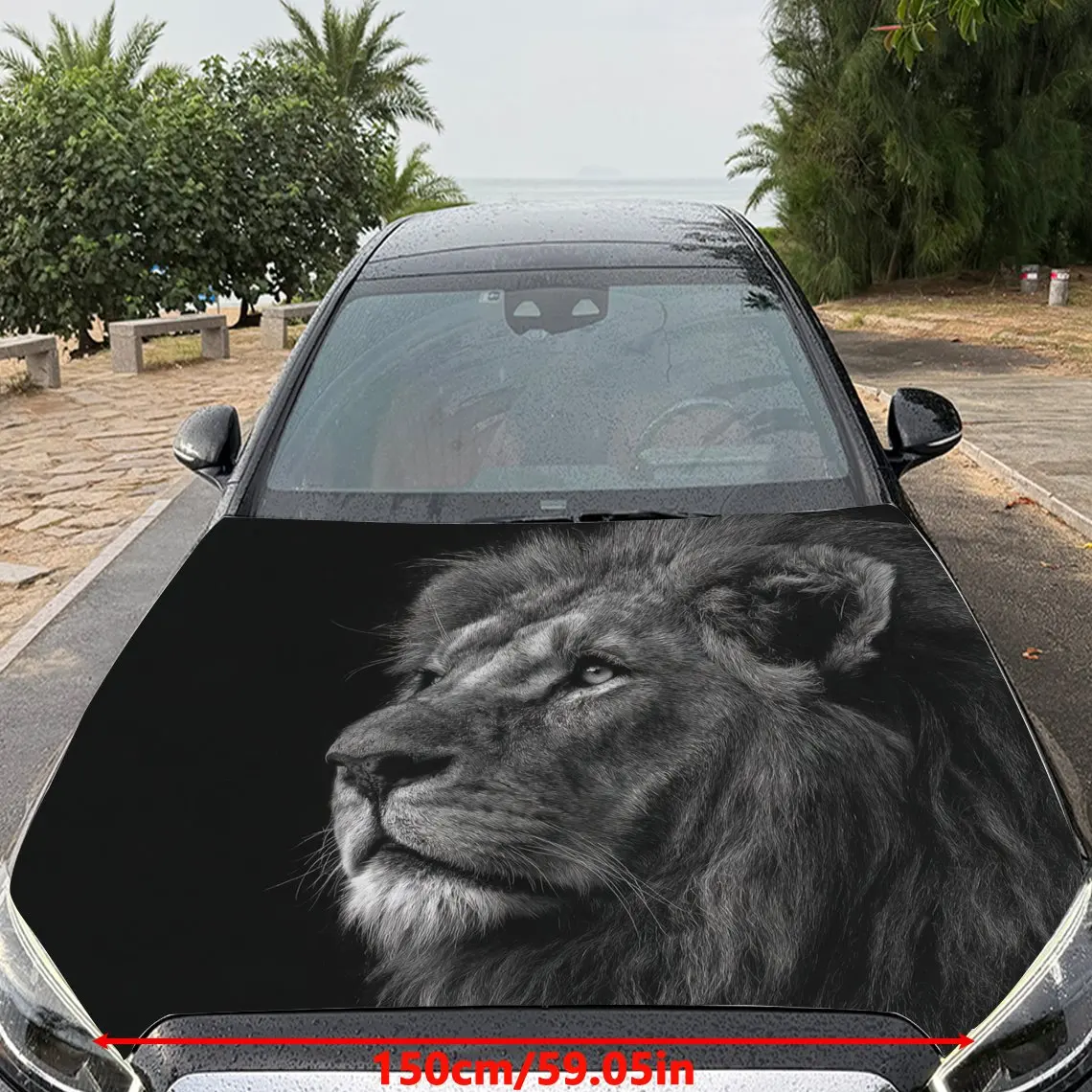 Car Decals A Lion Delivering Regal Poise And High - Contrast Sophistication In A Bold, Monochrome - Driven Design Car Hood Stick