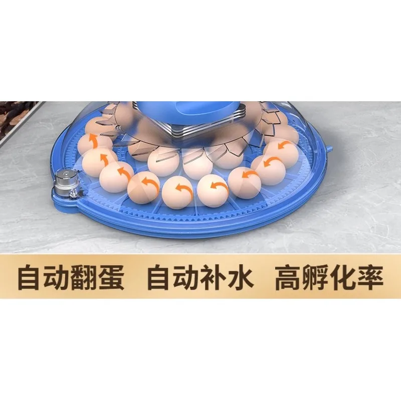 Incubator Small Household Fully Automatic Intelligent Parrot Pigeon Bird Egg Special Small Flying Saucer Incubator Box