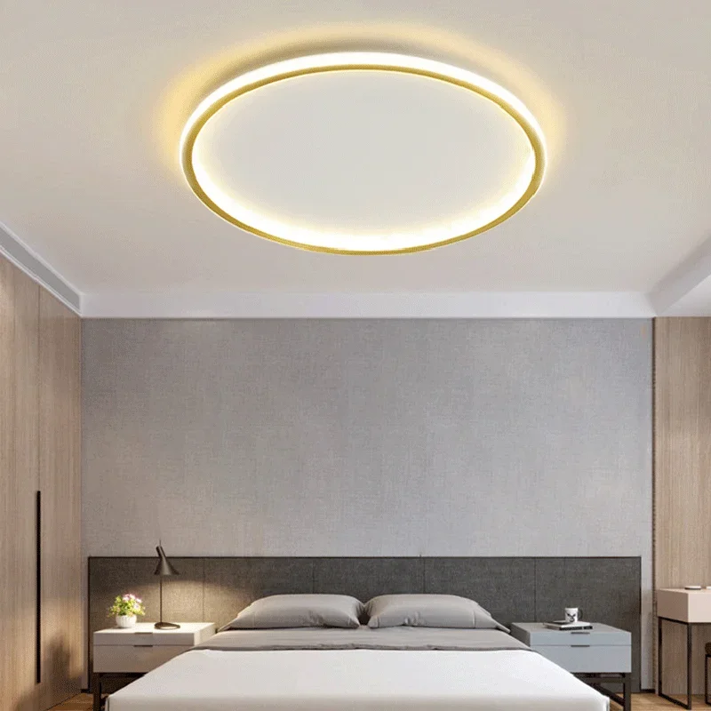 

Nordic Minimalist LED Ceiling Light For Bedroom Living Room Aisle Study Room Balcony Circular Remote Control Lighting Chandelier