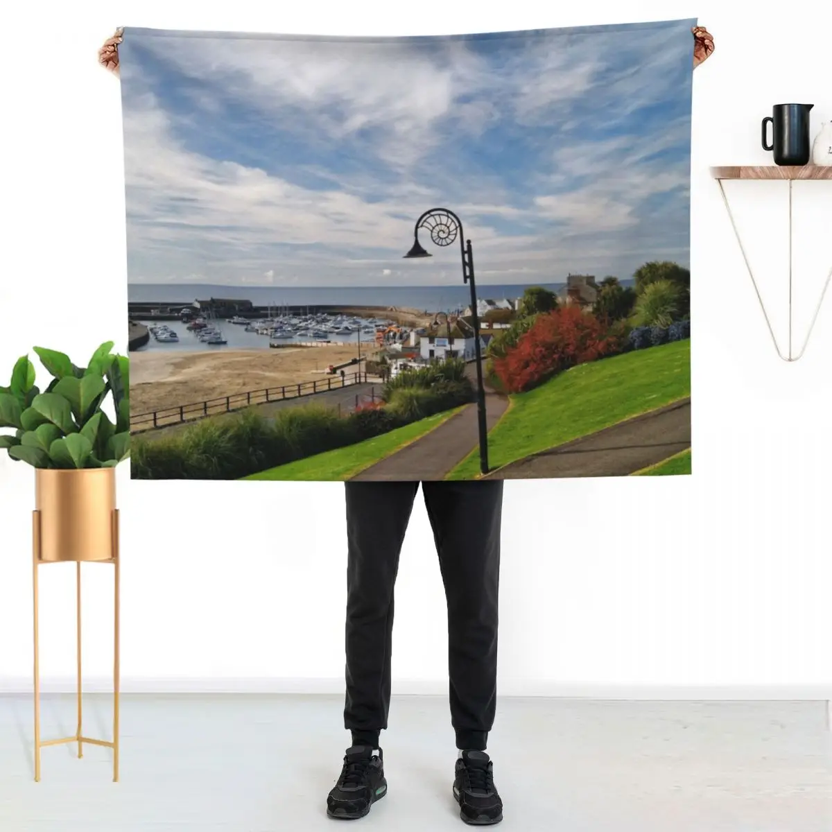 Lyme Regis Harbour from Langmoor Gardens Throw Blanket Blankets For Bed Nap For Baby Blankets