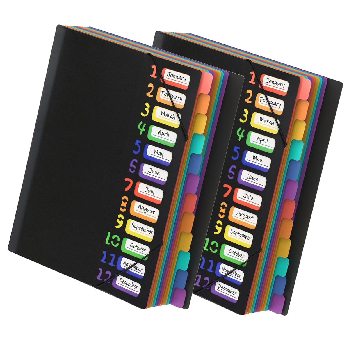 

48 Pocket Clear Expanding File Folder with 12 Colored Tabs, Letter Size, 300-Page Capacity, Project File Organizer, Index