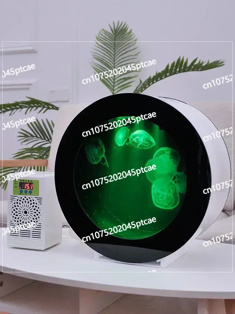 Led Light Jellyfish…