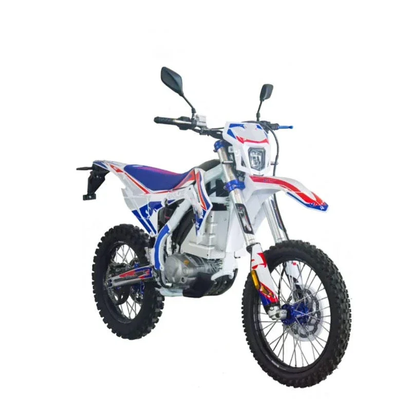 80V Powerful Electric Mountain Bike Off-Road Motorcycles Motor Crossbike Adult Offroad Electric Motorcycle Race class