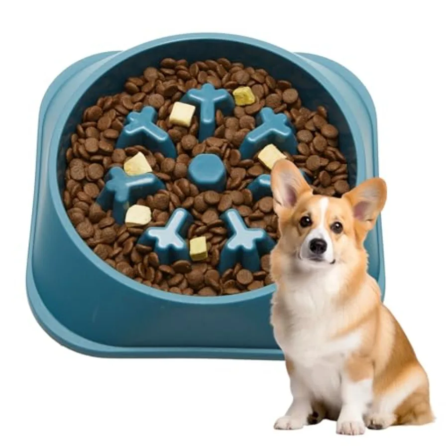 Slow Feeder Dog B F… - image