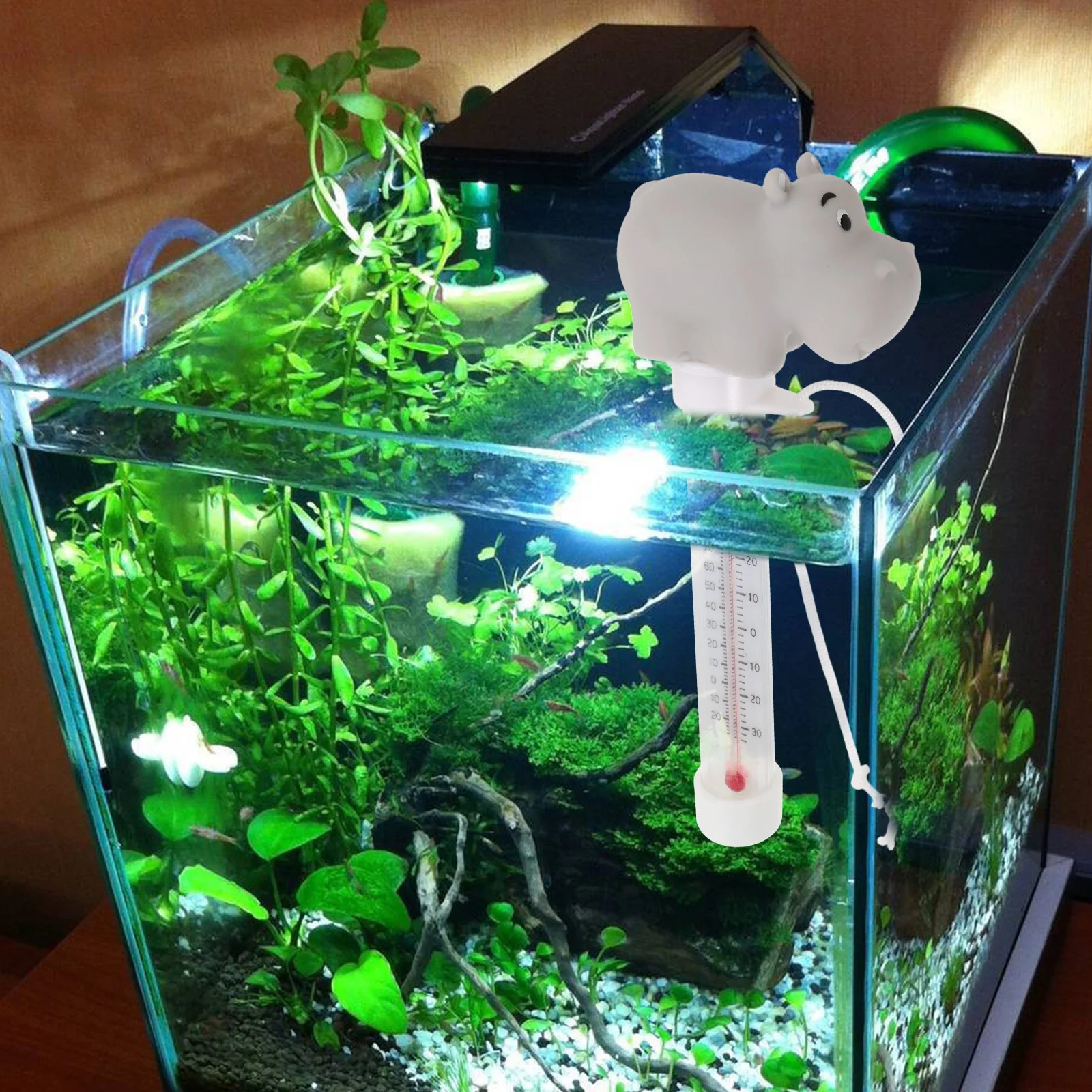 

Floating Fish Tank Thermometer Ocean Theme Water Temperature Gauge For Aquarium Freshwater Saltwater Tanks Aquatic Turtle