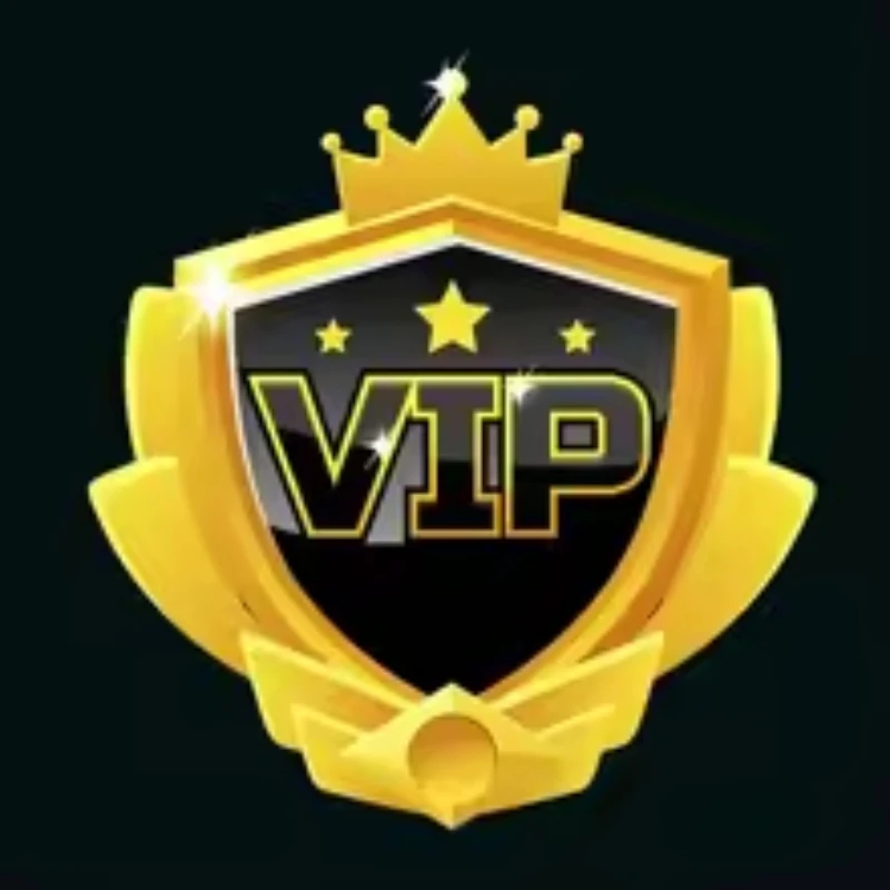 Exclusive VIP Customer Customized Products