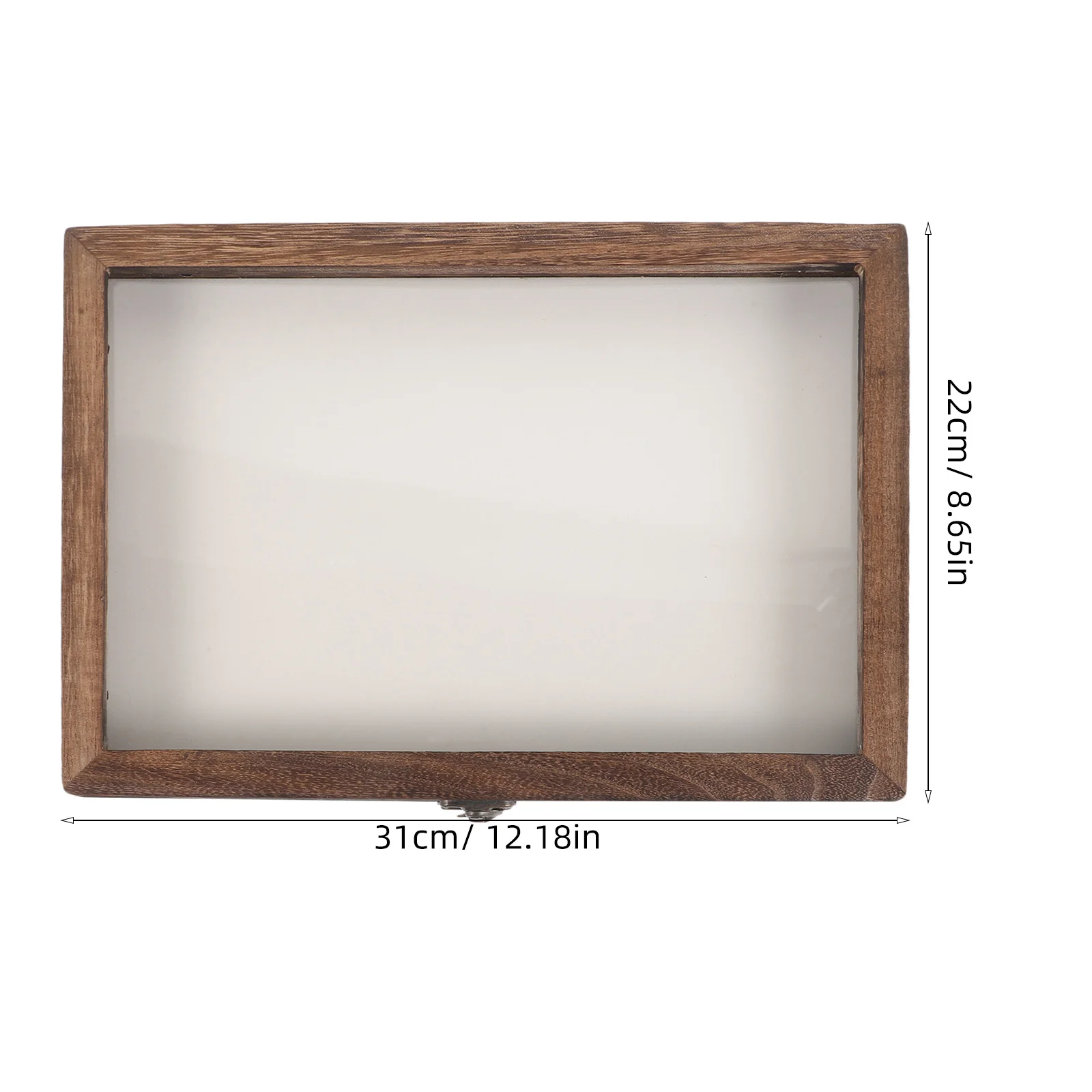 Insekten-Display-Box, Holz, Schmetterlinge, Probenrahmen, Acrylbehälter