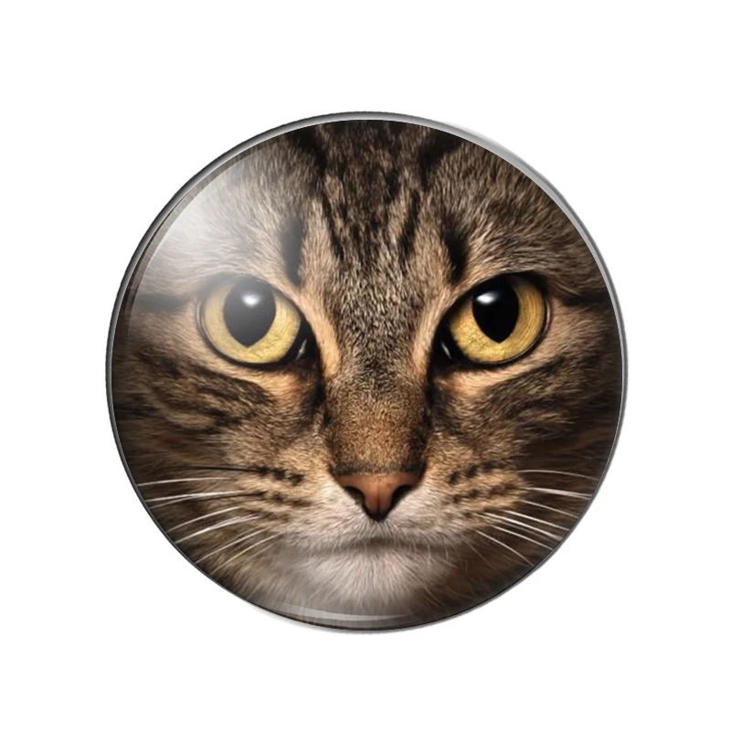 New Cat Face Patterns 10pcs mixed 12mm/14mm/16mm/18mm/20mm/25mm Round photo glass cabochon flat back Making findings
