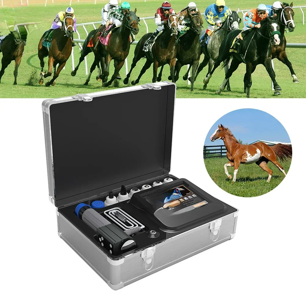 Professional Shockwave Therapy Pain Relief Heel Rehabilitation In Horse Medical Shock Wave Equipments