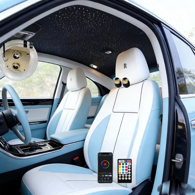 engine RF control Optic Cable Starry Effect Ceiling Double Heads Lights lamp Key Optic Lighting Smart APP Twinkle Fiber Light