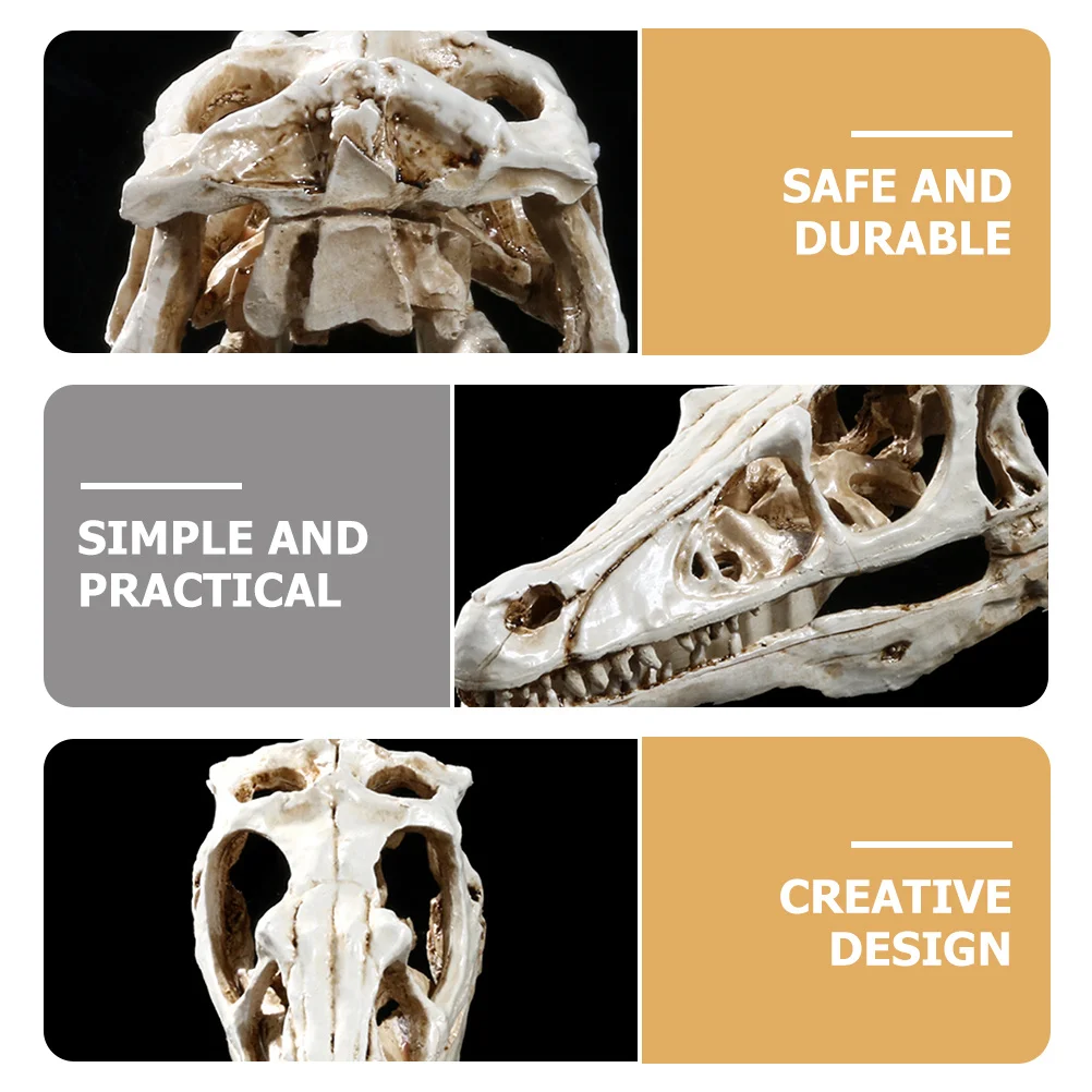 

Realistic Dinosaur Skull Natural Feel Animal for Laboratory Bedroom Shelf Decoration Educational Prop for Kids