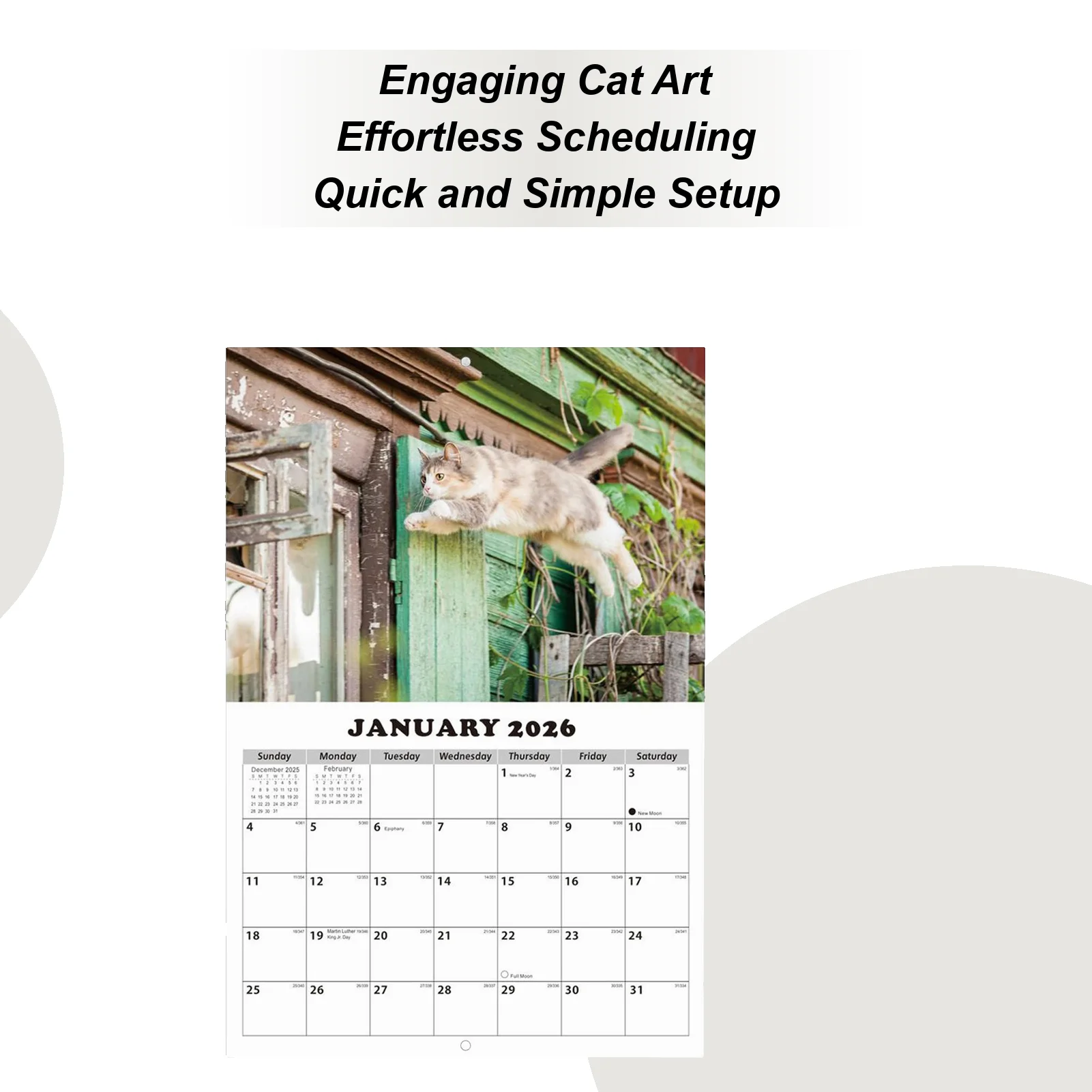 2026 Cat English Calendar 13-Month Cat Theme Planning Calendar Decoration For Students Teachers Office Classroom School