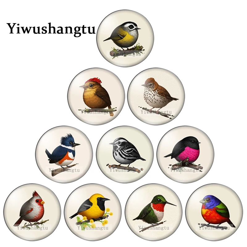 

Vintage lovely Colourful Pet Birds Art Paintings 8mm/12mm/20mm/25mm Round photo glass cabochon demo flat back Making findings