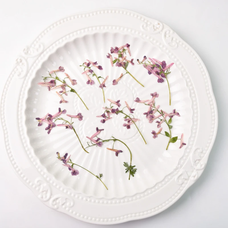 

6-8cm/12pcs,Nature mini flower branches,pressed flower DIY wedding invitation adhesive drop phone case Photo frame bookmark card