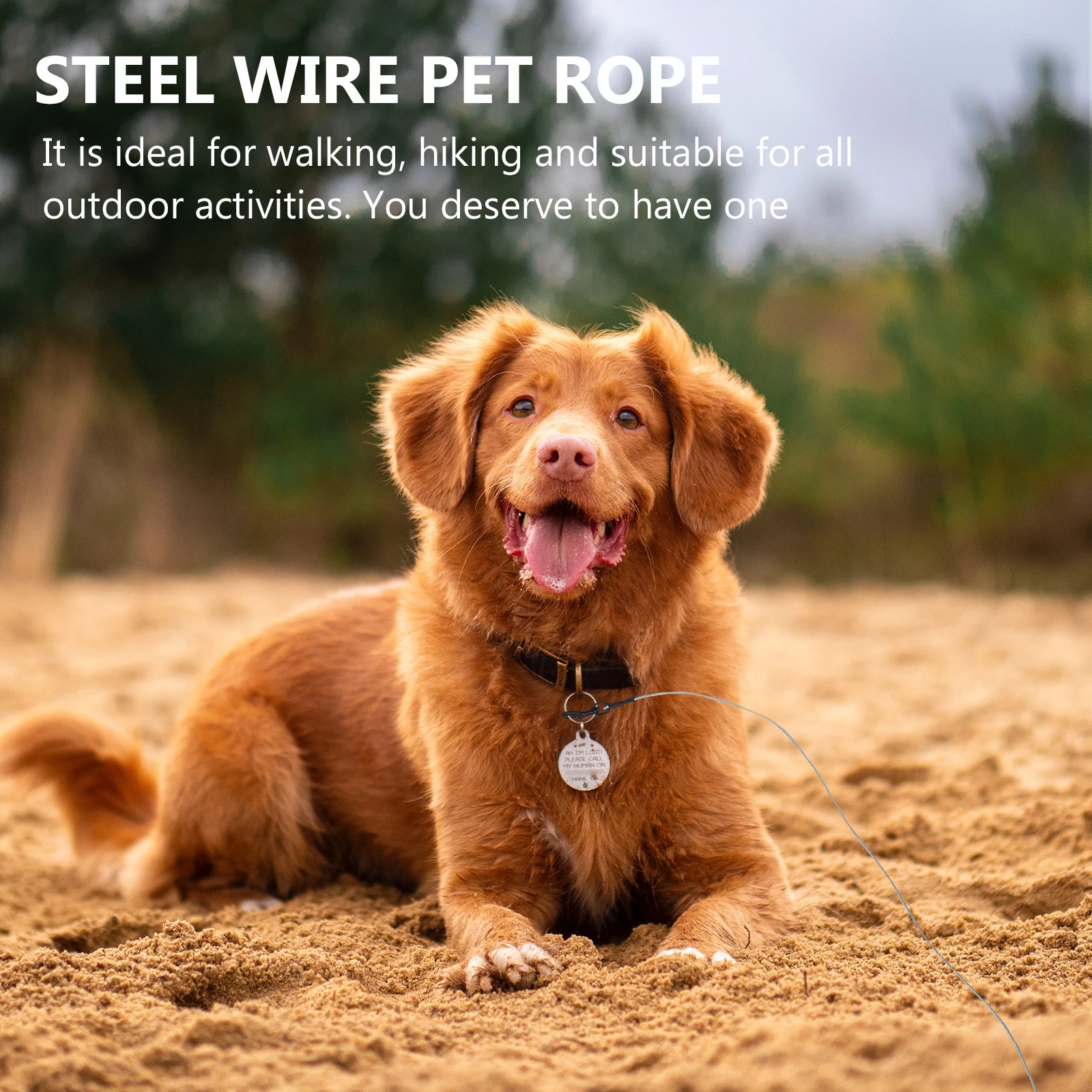 

Dog Leash 1.2m Steel Wire Traction Rope Heavy Duty 80kg Load Portable Pet Supplies Alloy Buckle Dog Walking Lead Pet Accessories