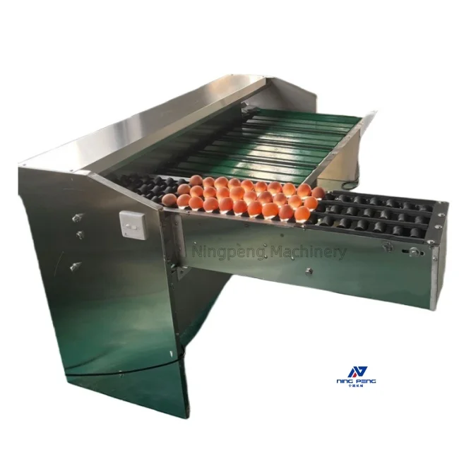 Chicken Egg Washing and Sorting Machine Egg Washer Grader Egg Printing Sorting Machine