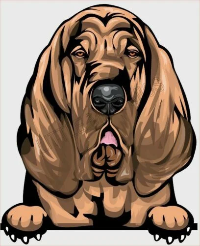 

For BLOODHOUND Peeking Dog Breed Colour Window Laptop Sticker waterproof