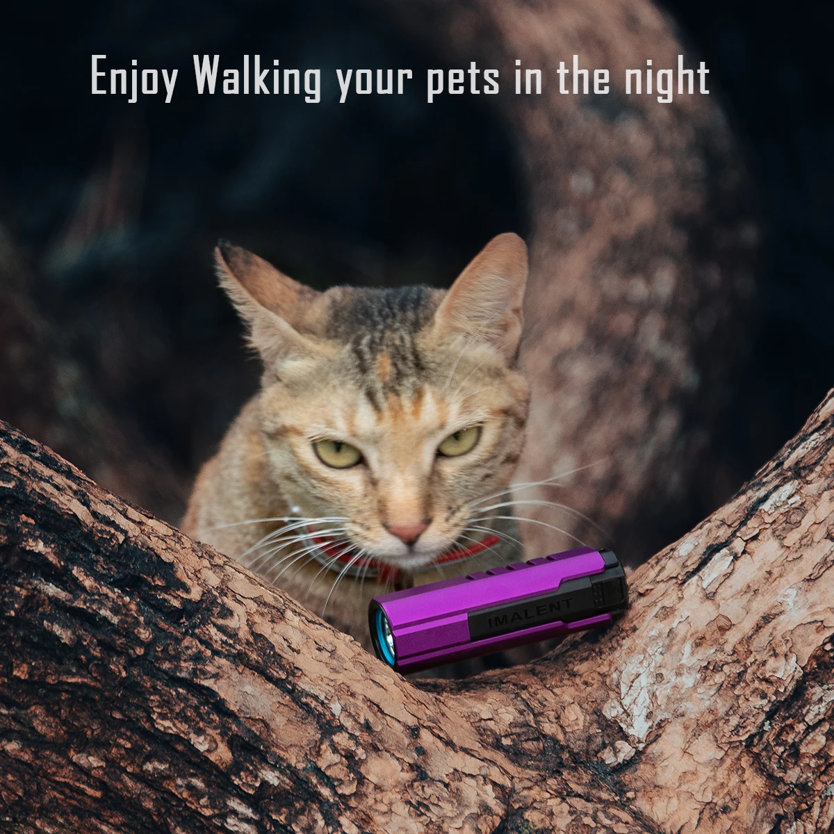 IMALENT LD70 Purple EDC Portable Rechargeable Flashlight with 4000 Lumens and Cree XHP70.2 LED for Camping, Hiking.