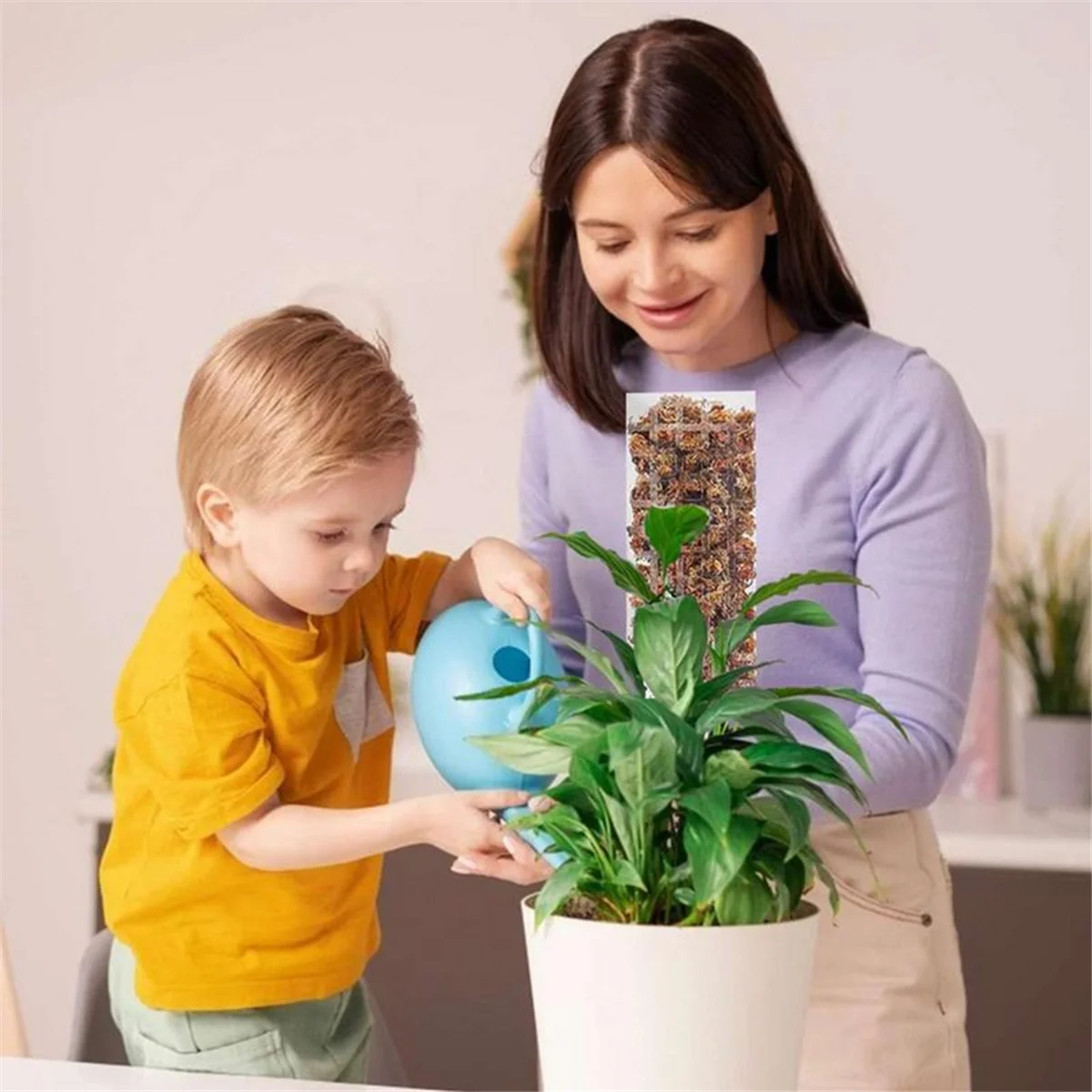 New Plant Plastic Moss Poles for Plant Stakes and Sphagnum Moss to Support Climbing Plant Poles Turtle Back Moss Poles