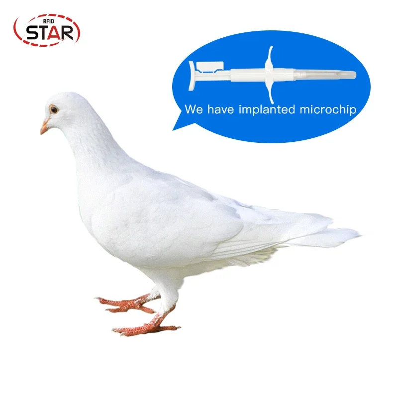 بنادق الحقن مع شريحة زجاجية RFID 2.12*12 مللي متر مجموعة منتجات معرف الحيوان x10