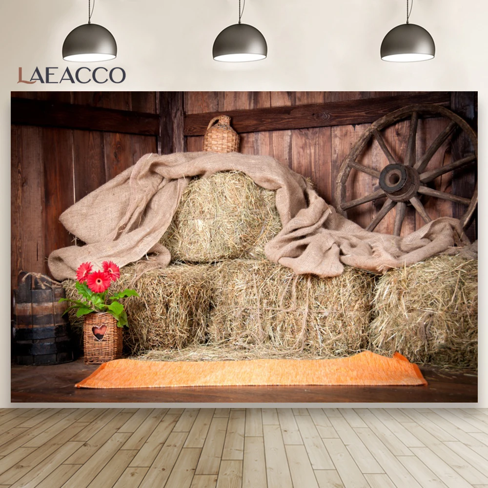 Laeacco Rural Countryside Straw Wooden Wall Wheel Photo Backdrops Photozone Flowers Potted Plants Photography Backgrounds Props