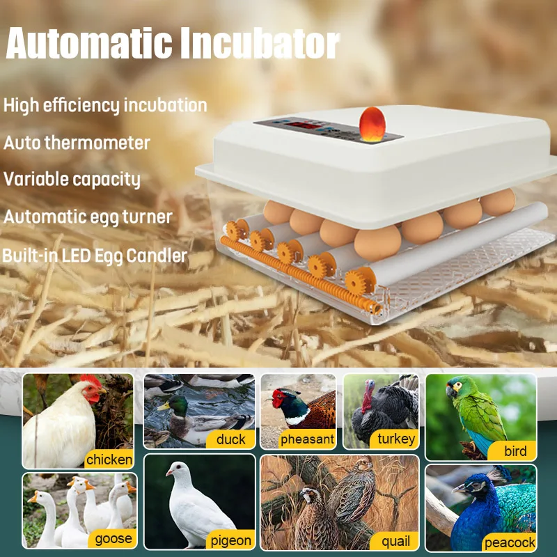 

16 Eggs Full Automatic Incubator Multifunction Intelligent Incubator For Chickens, Ducks, Gooses, Quails, Birds, Pigeon US/EU