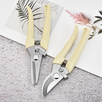 Professional Stainless Steel Pruning Shears - Multi-Purpose Garden Scissors for Trees, Plants & Grafting | 100mm Opening