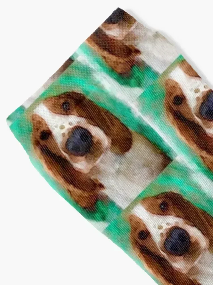 Welsh Springer Spaniel Puppy Art Socks Heating sock sport winter anti slip football Socks Women's Men's
