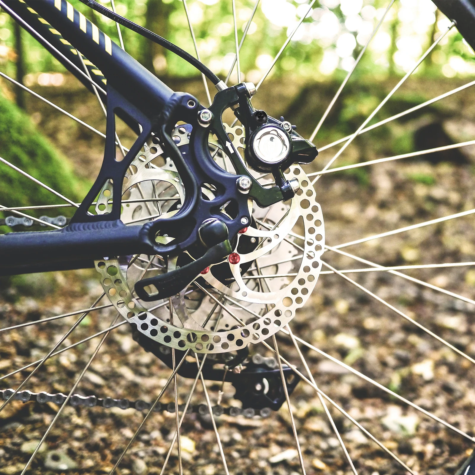 

12 Bike Rotor Bolts Alloy Steel Fixing Durable Colorful Brake Disc Screws Disc Screws For Cycling
