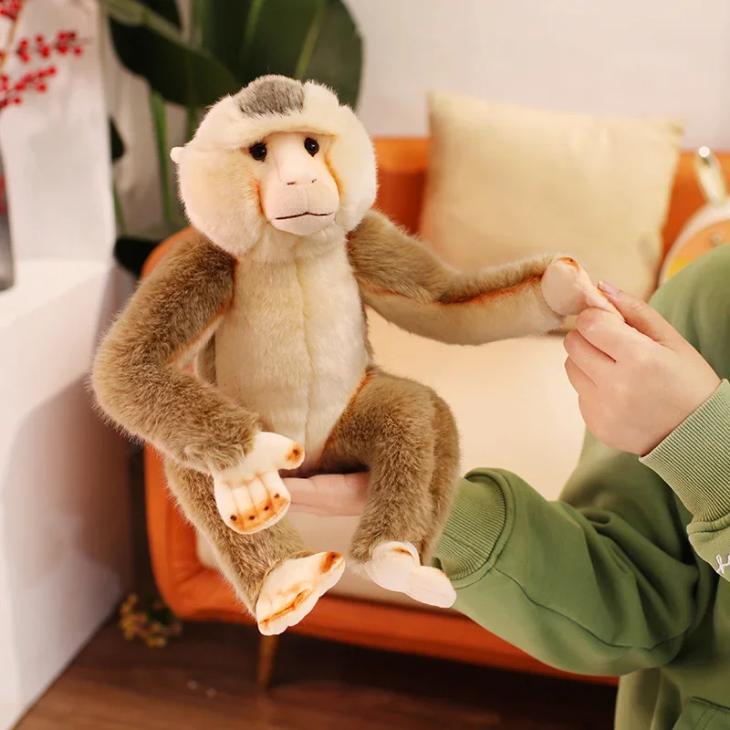 Stuffed Animal Baboon in Seated Pose with Forward Resting Arms for Office Desk Bookshelf and Study Room Accent Decor Feature