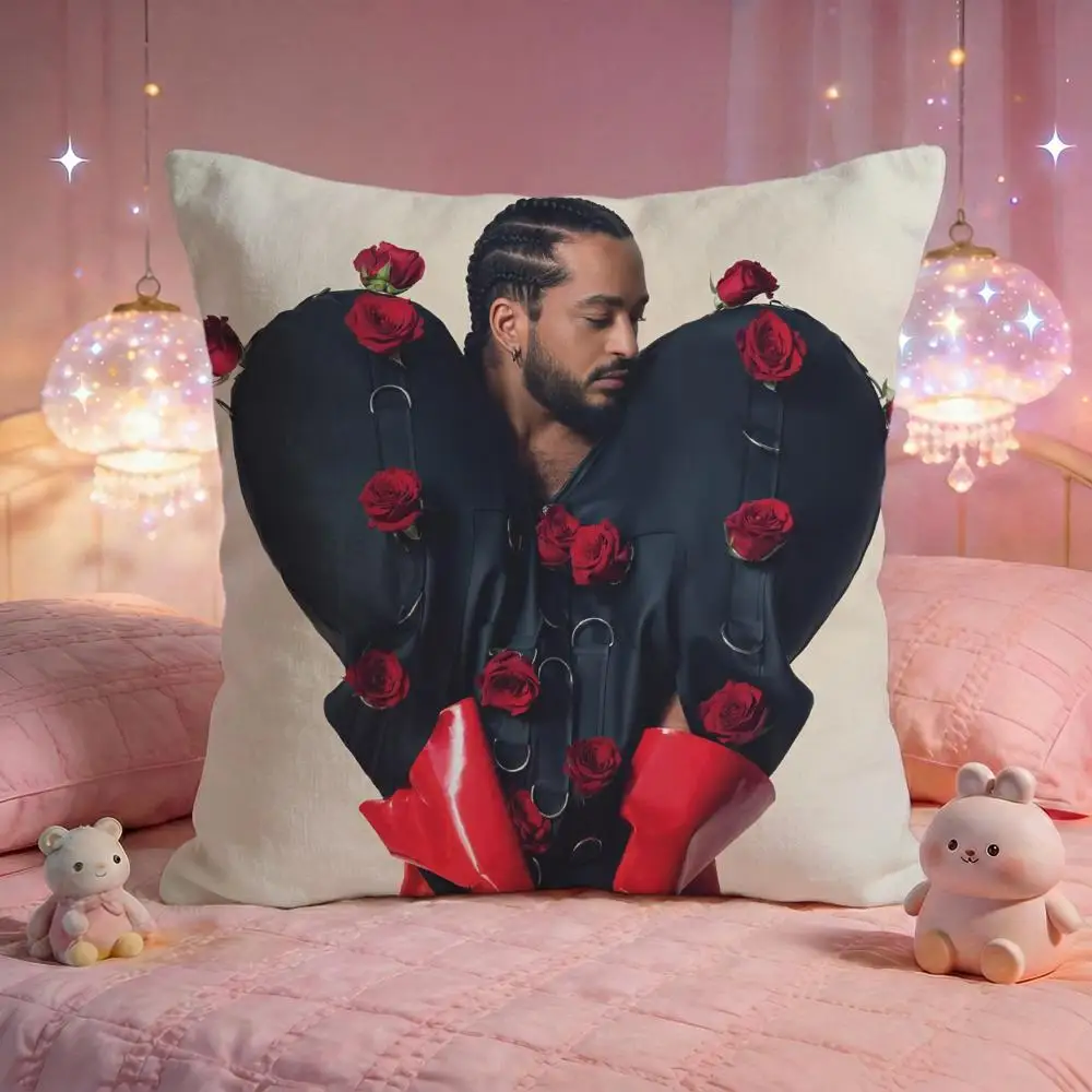 Singer S-Slimane France Cushion Cover Premium Comfort Reversible Pillow Cove -Two in One Design for Any Room & Car Interior