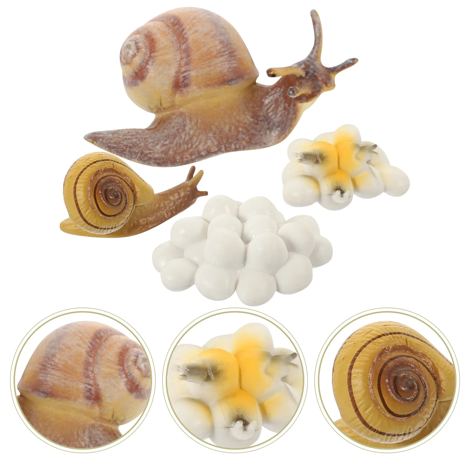 

Animal Snail Metamorphosis Cycle Toddler Mini Animals Kid Educational Model Plastic Kids Suit