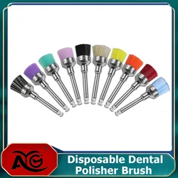 AG 10pcs/Box Disposable Dental Polisher Nylon Bristle Brush Polishing Polisher Cup Teeth Whitening Prophy Brushes Dentist Tools