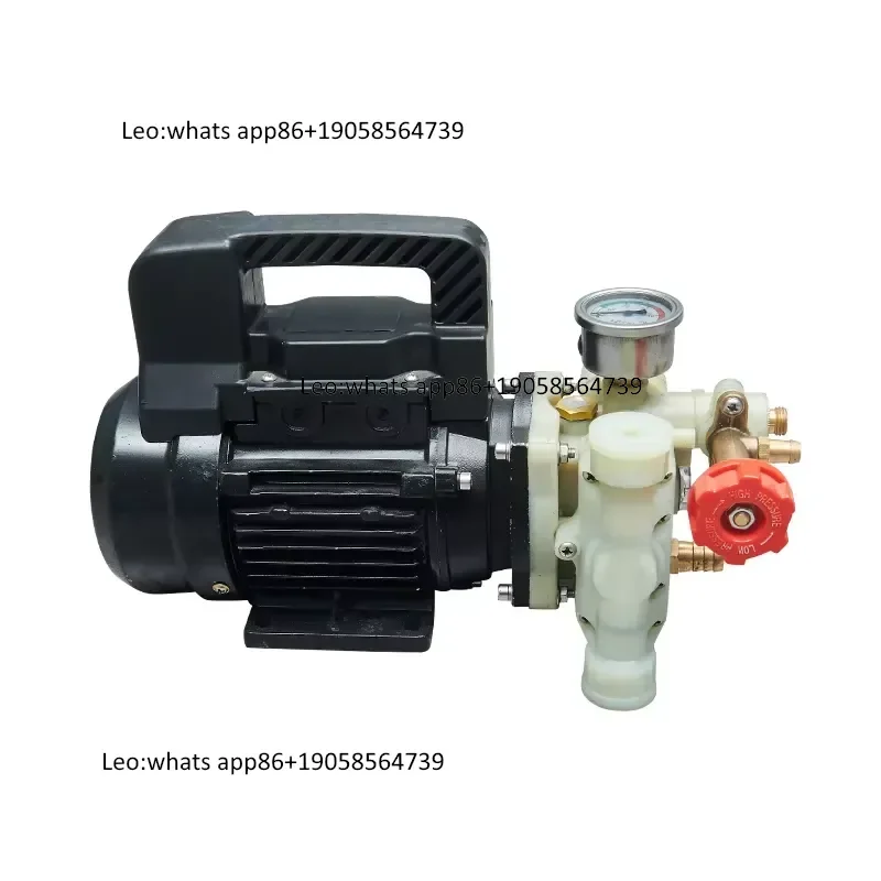 High Pressure and High Flow AC 220V High-power Plunger Pump Suitable for Agricultural Irrigation