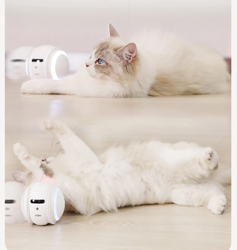 Cat companion robot teasing cat artifact camera camera camera monitoring two-way voice self-hilarity