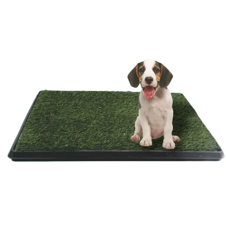 

Indoor 3-Piece Puppy Pee Relief Pet Toilet Non-Toxic Synthetic Grass Mat Dog Potty Pad