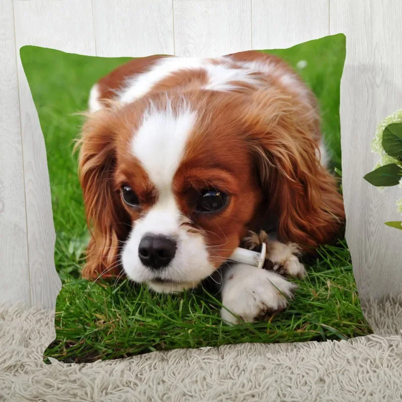 Customize King Charles Spaniel Pillow Case Modern Home Decorative Pillowcase For Living Room 45X45cm A2020.4.29